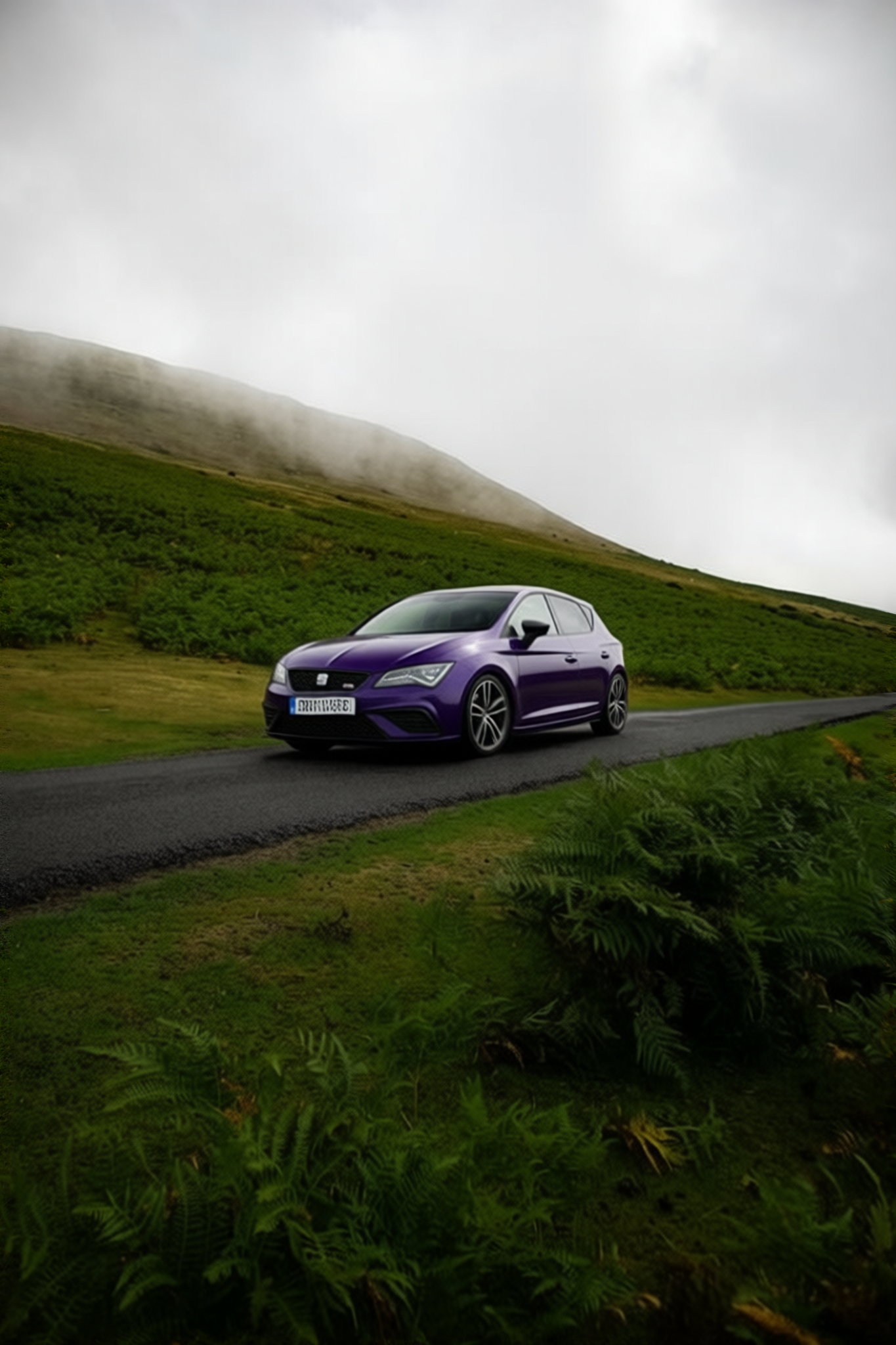 Seat Ibiza en Midnight Purple gloss paint