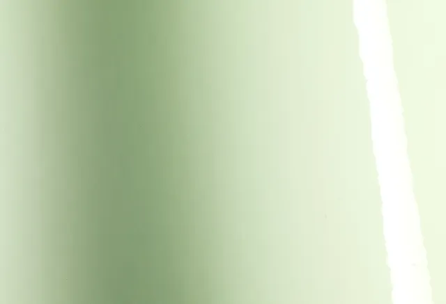 Texture du film Gloss Light Pistachio