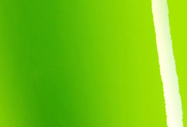 Texture du film Gloss Tropical Vacation Green