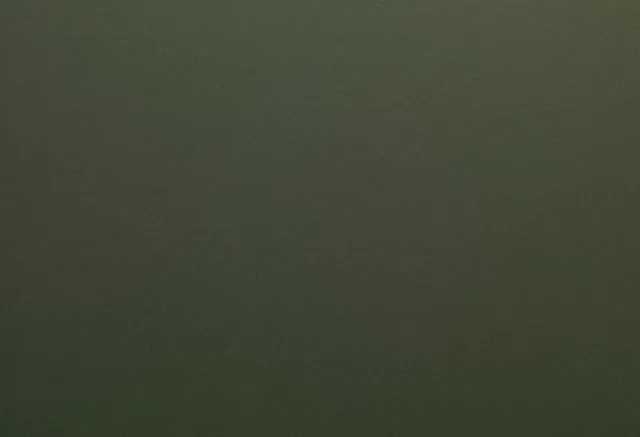 Texture du film Matte Olive Green