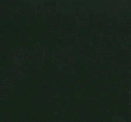 Texture du film Absolute Matte Forest Green