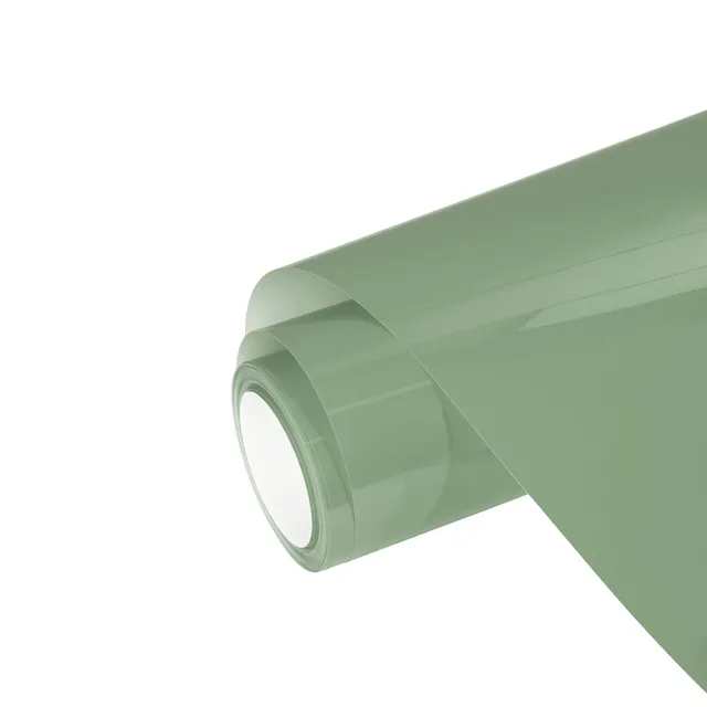 Texture du film Light Khaki Green