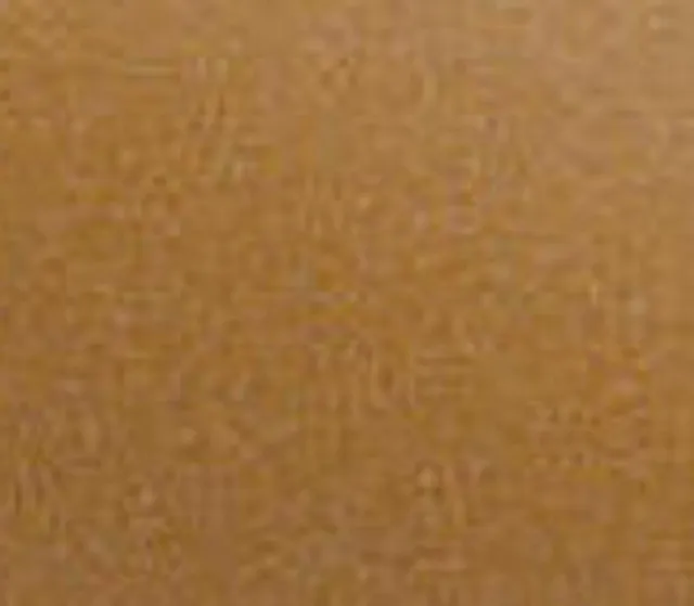 Texture du film Gloss Bronze