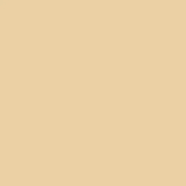 Texture du film Gloss Champagne Myst