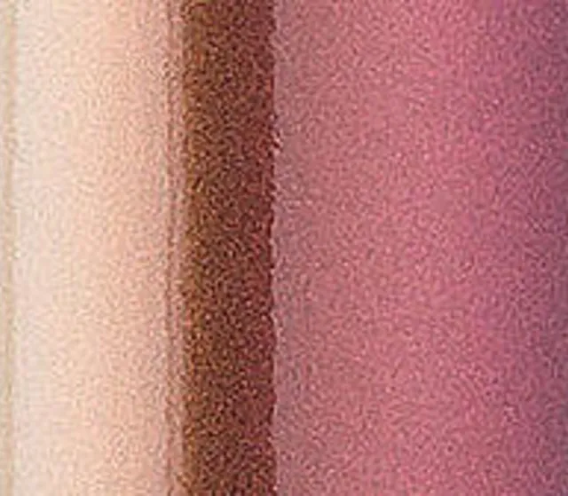 Texture du film Matte Aubergine Bronze