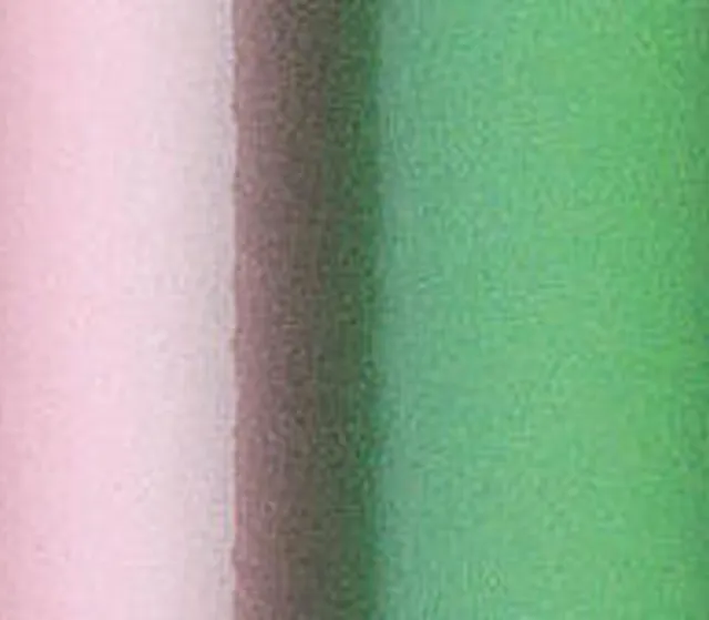 Texture du film Matte Avocado