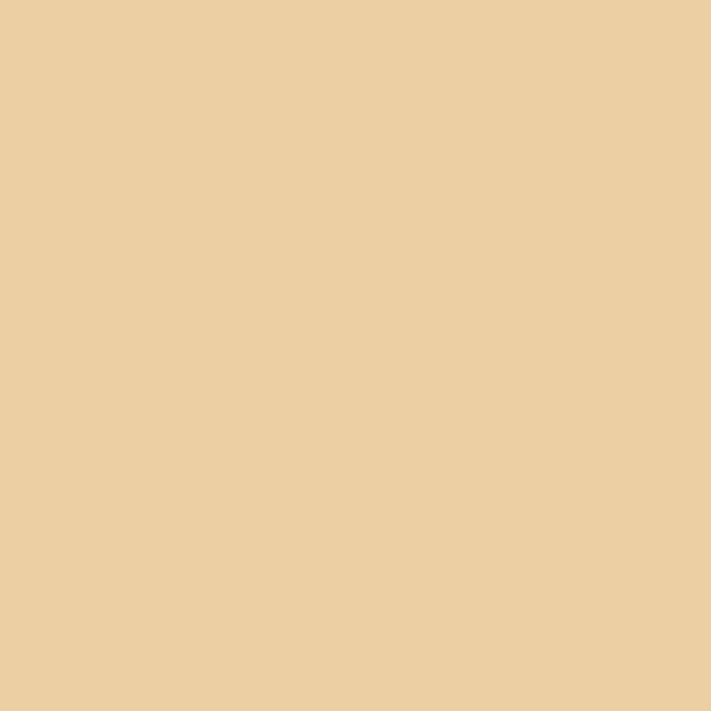 Texture du film Matte Champagne Myst